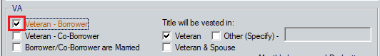 VA Loan Summary Sheet_02
